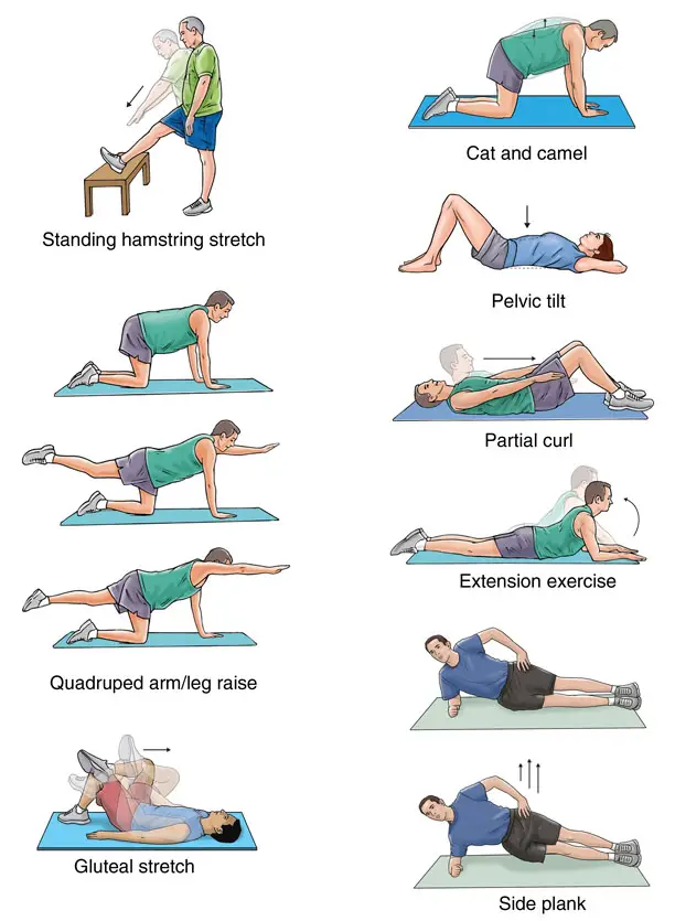 Lower Right Side Back Pain Stretches