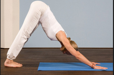 Best Exercise For Lower Back Pain Relief