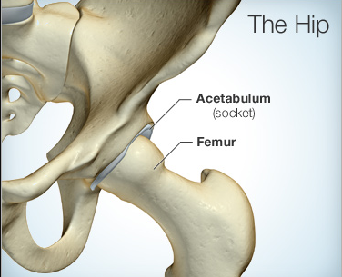 Hip Pain Symptoms and Diagnosis