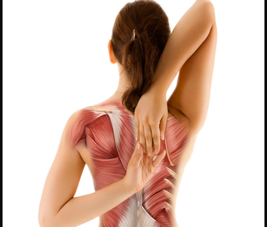 Exercise To Relieve Upper Back Pain