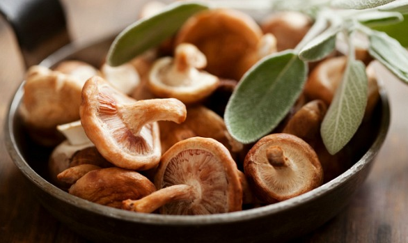Home Remedies for Knee Pain Due to Arthritis